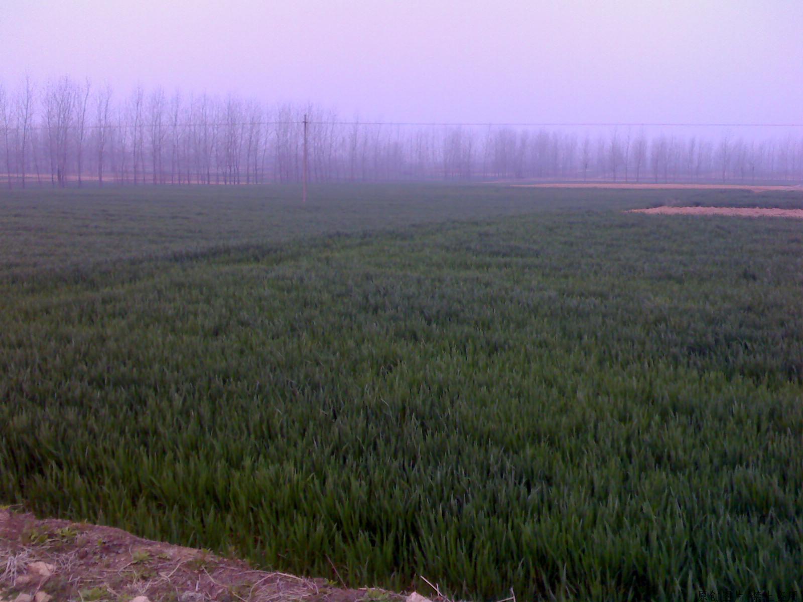 0331_080847.jpg